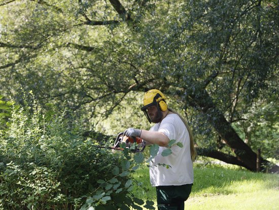 jemand beschneidet einen Busch